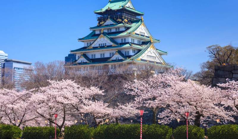 Best Of Japan - 8 Days Package