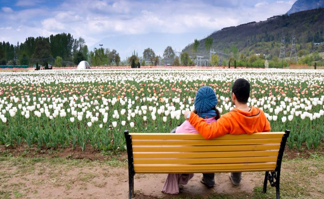 KASHMIR VALLEY PACKAGE