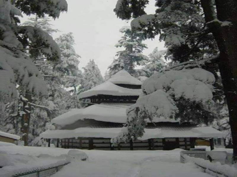 3 Nights 4 Days Delhi Manali Kullu Delhi