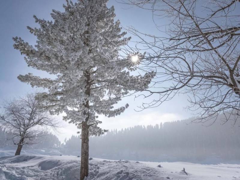 Kashmir Tour Package