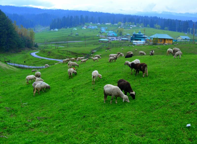 05 Days 04 Nights Kashmir Tour