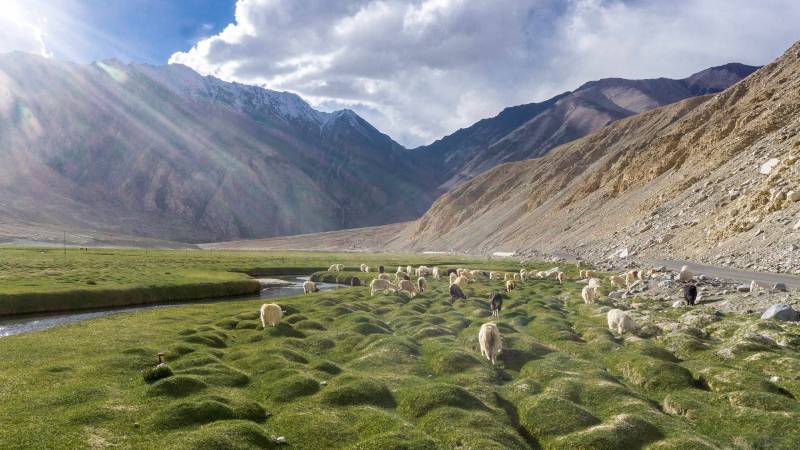 7 Night - 8 Days Indus Vally Leh West Monastaries Tour
