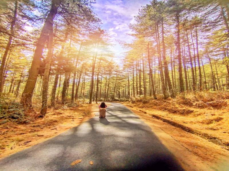 6 Night - 7 Day Way To Bhutan Tour