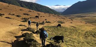 9 Nights - 10 Days Hiking - Walking Tour