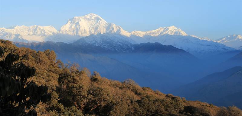 Ghorepani Poon Hill Trekking - 8 Days