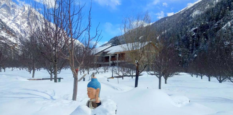 Snow Leopard Winter Expedition