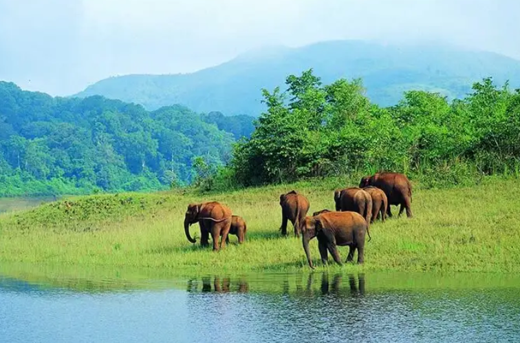 Trivandrum, Alleppey, Thekkady, and Munnar 7D and 6N