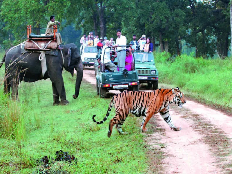 Jim Corbett Tour