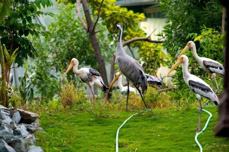 2 Night - 3 Days Statue Of Unity Tour