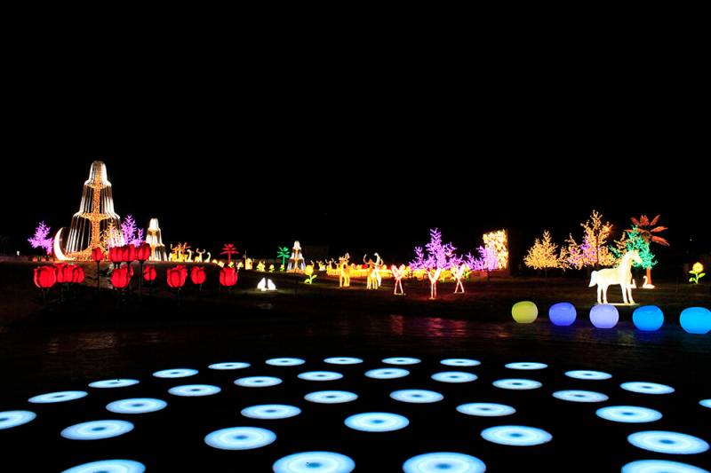 2 Night - 3 Days Statue Of Unity Tour