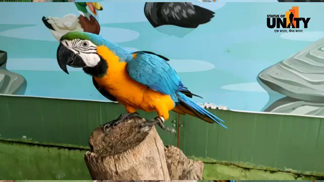 2 Night - 3 Days Statue Of Unity Tour