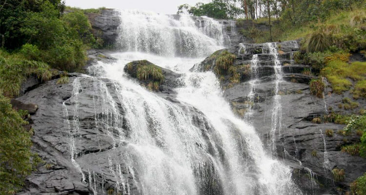 7nights/ 8days Trichy- Cochin Tour