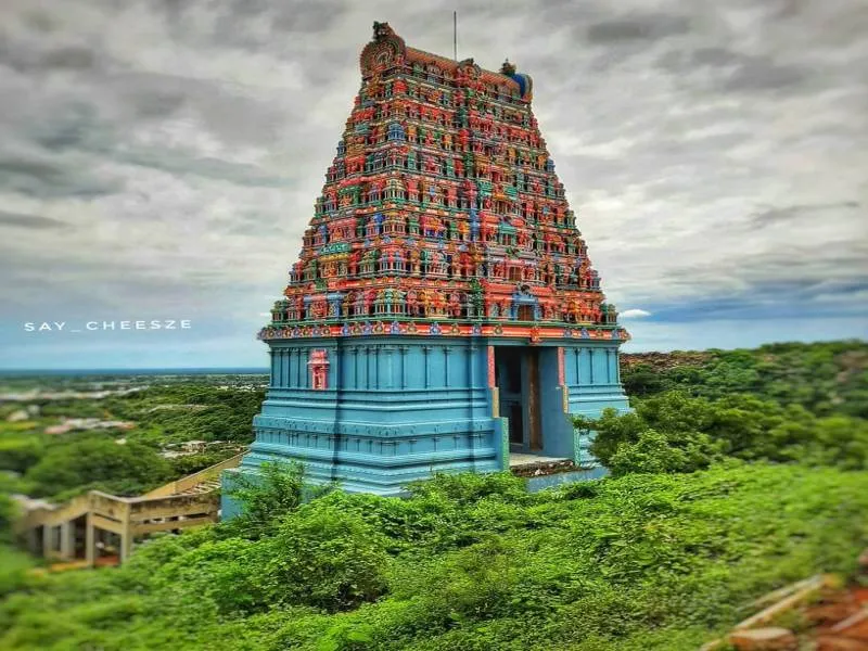 23 Nights / 24 Days Delhi - Chennai Tour