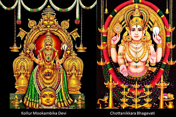 7 Nights/8 Days Cochin - Trivandrum Tour