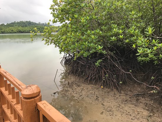 5nights / 6days Port Blair- Baratang Island