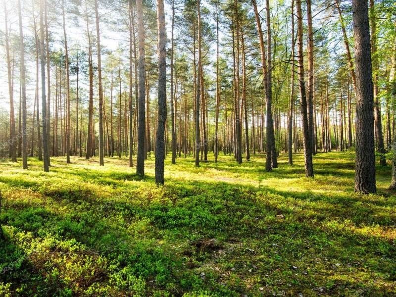 5 Nights /6 Days Coimbatore -bangalore