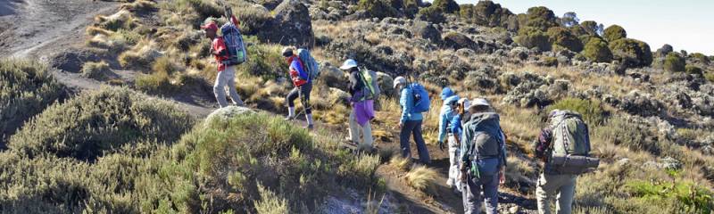 7 Days 6 Nights Camping Trekking ( Kilimanjaro Mountain) Through Lemosho Route