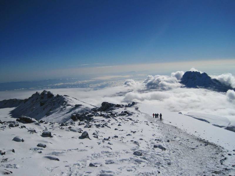 7 Days 6 Nights Camping Trekking ( Kilimanjaro Mountain) Through Lemosho Route