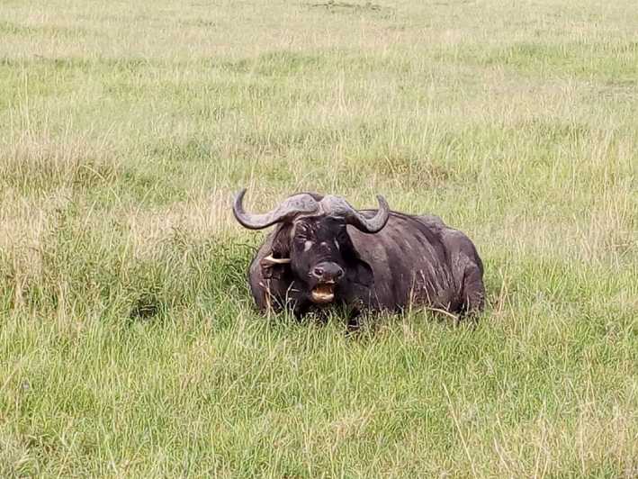 3 nights 4 days northern Tanzania safaris