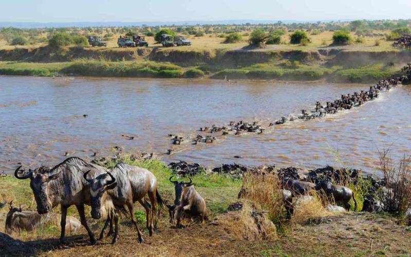 12 days 11 nights Tanzania safaris and Kenya