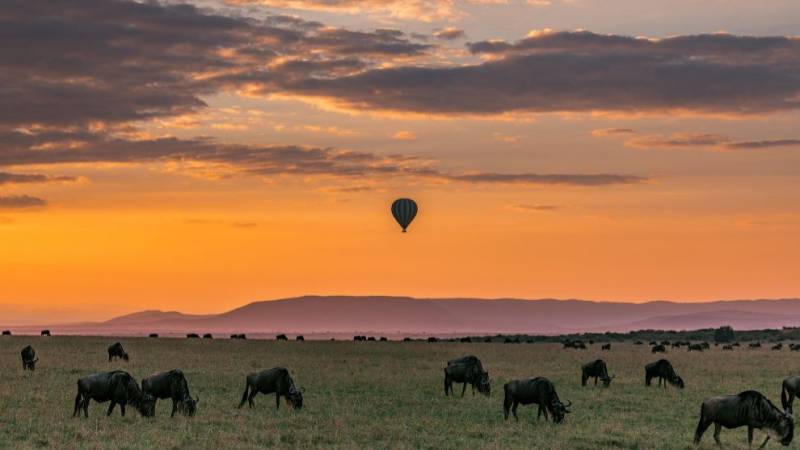 12 days 11 nights Tanzania safaris and Kenya
