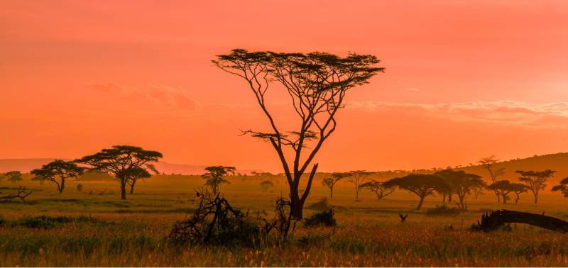 12 days 11 nights Tanzania safaris and Kenya