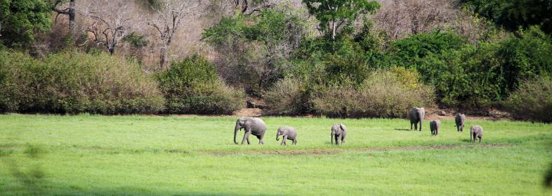 3 Nights 4 Days Selous Game Reserve Safari