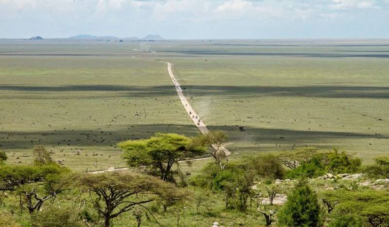 3 Nights 4 Days Serengeti National Park