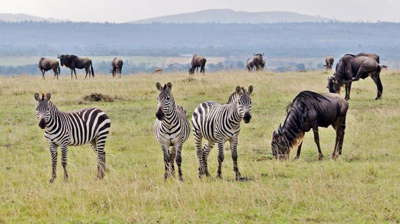 3 Nights 4 Days Serengeti National Park