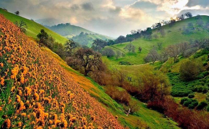 11 Night 12 Days Char Dham