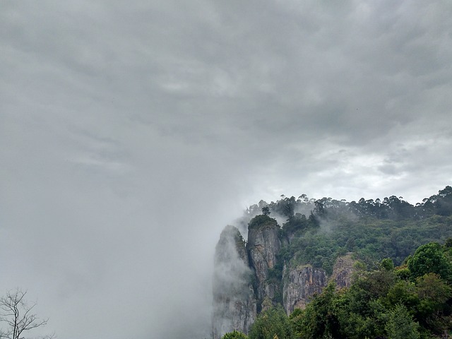 Kodaikanal 1 Night 2 Days