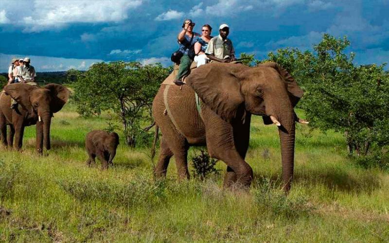 Nainital & Jim Corbett 3 Night 4 Days