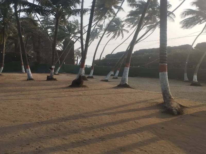 One Day Alibag Beach Camping Tour Package