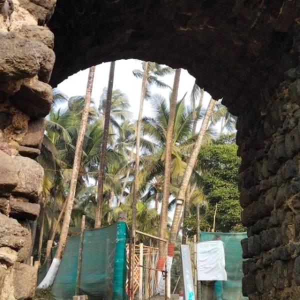 One Day Alibag Beach Camping Tour Package