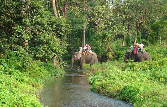 Green Dooars - Jaldapara - Lataguri 3N - 4D Tour Image