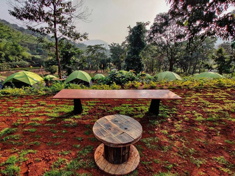 One Day Nature Break