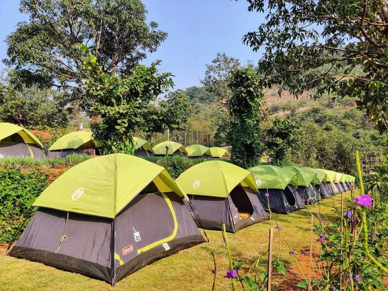 One Day Nature Break