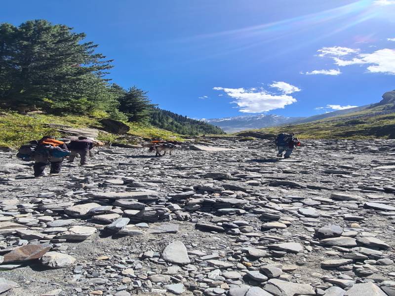 Manimahesh Kailash Yatra Trekk Package 2025