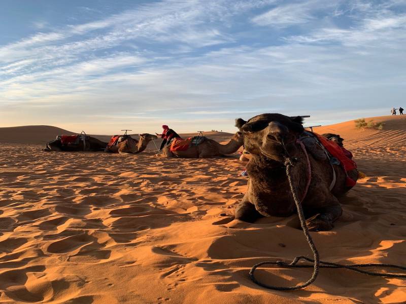 The Sahara Desert in Morocco with Caravan Saray