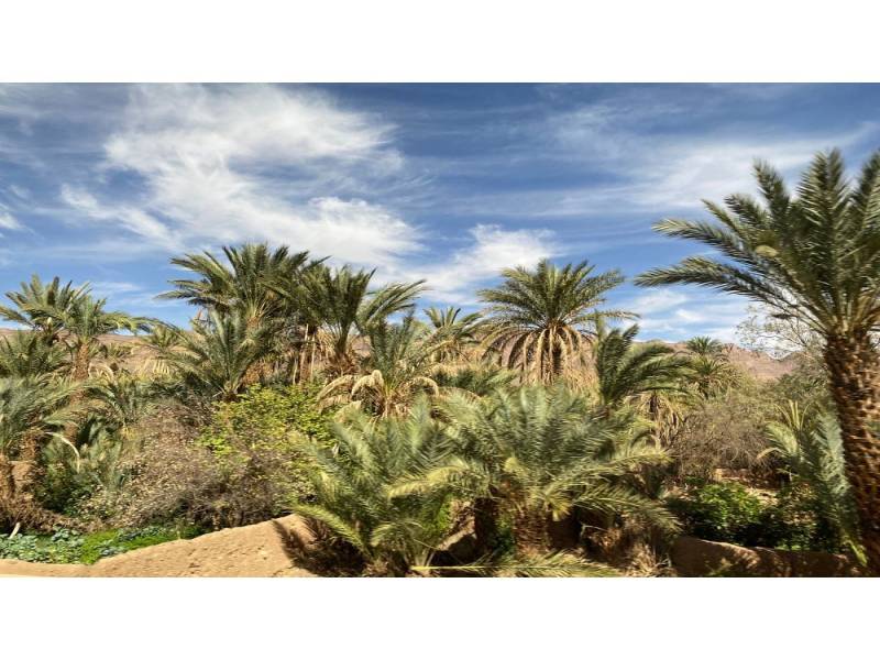 The Sahara Desert in Morocco with Caravan Saray