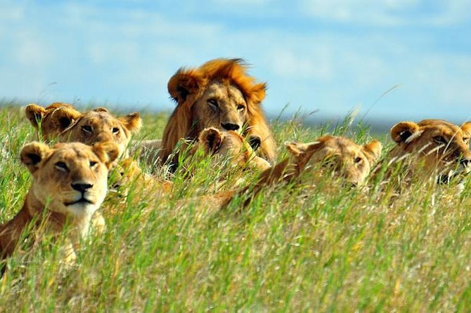 3 Days 2 Nights Safari Serengeti National Park And Ngorongoro Crater