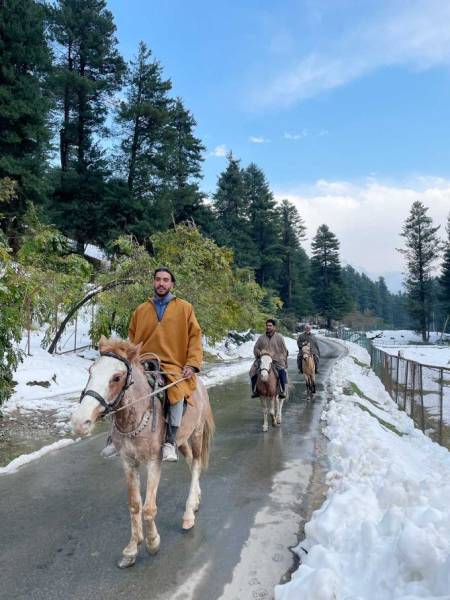 5 Night 6 Days Kashmir Trip Package