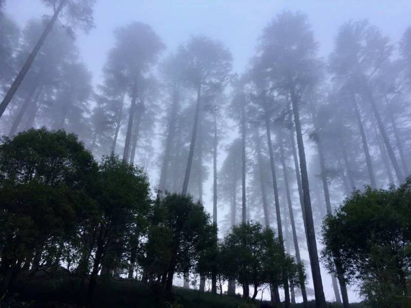 Glimpses Of Uttarakhand 6 Days Tour