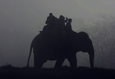 Corbett Rajaji wildlife safari Tour