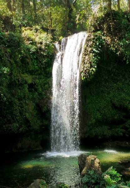 Corbett Rajaji wildlife safari Tour