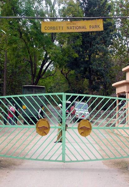 Corbett Rajaji wildlife safari Tour