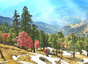 Explore Uttarakhand Tour