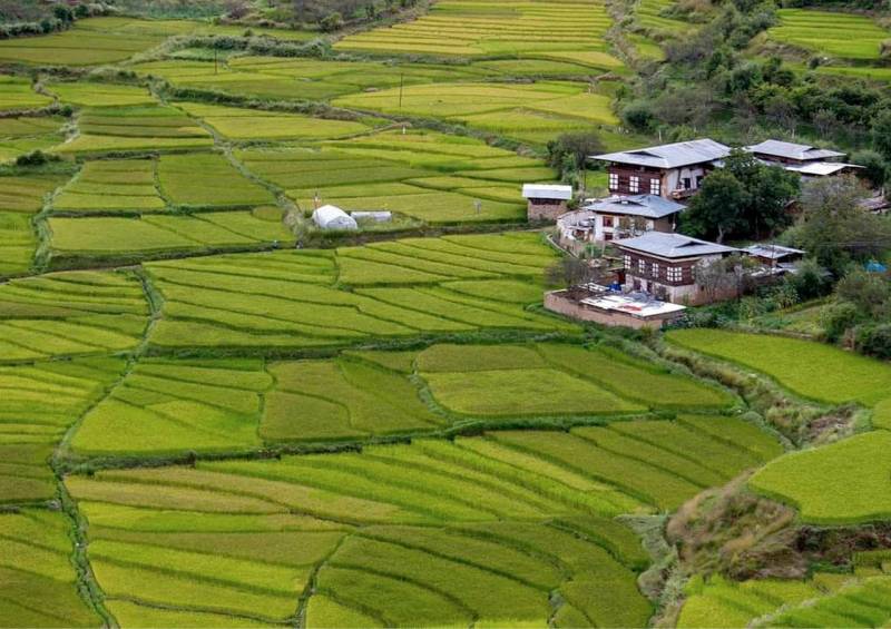 Rimso 7 Days 6 Nights Bountiful Tour  for 2 Paxs