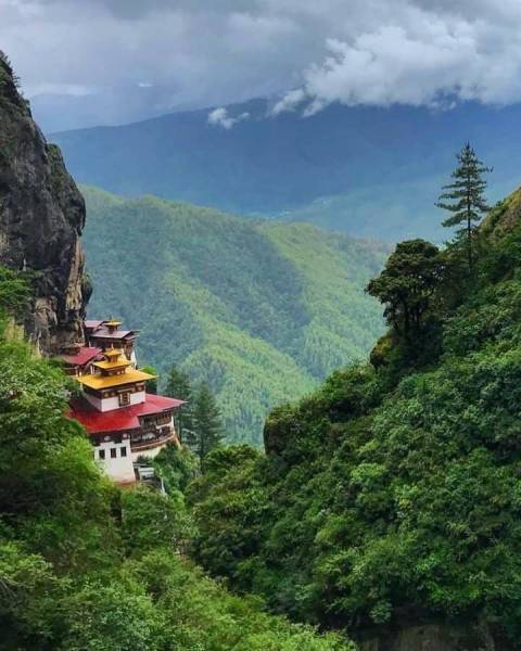 Rimso Group Tour package A