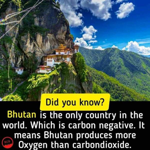 Rimso Wonderful Autumn Tour